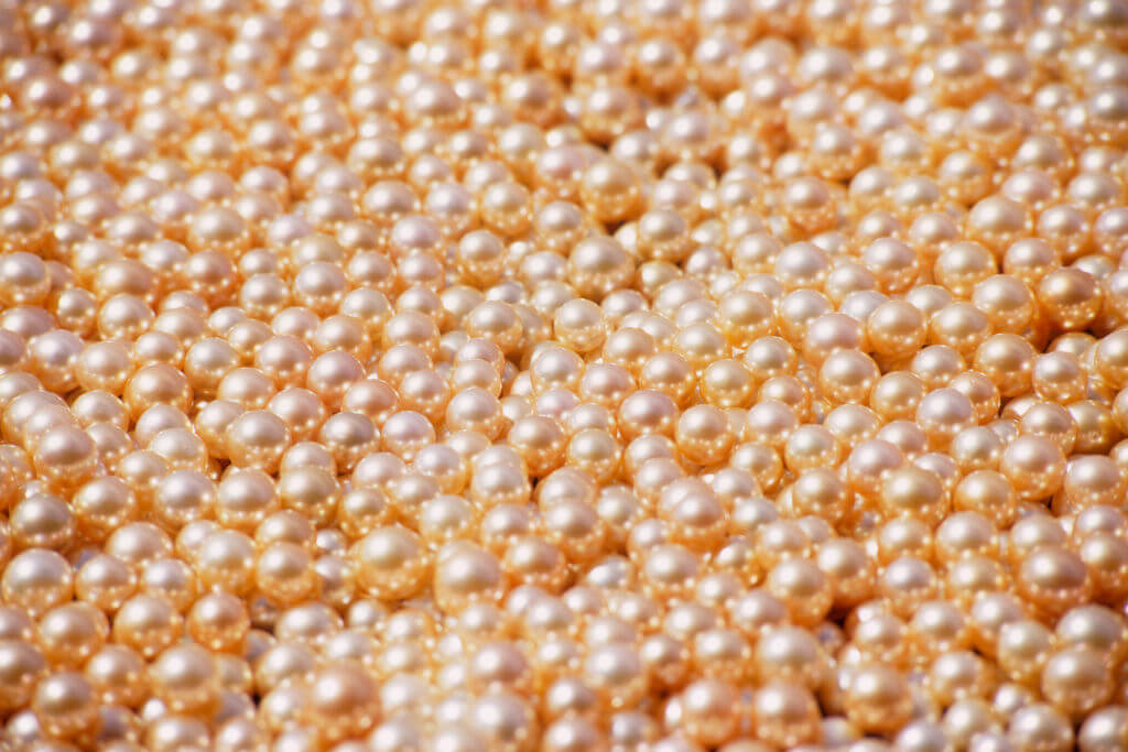Pearls of the Philippines