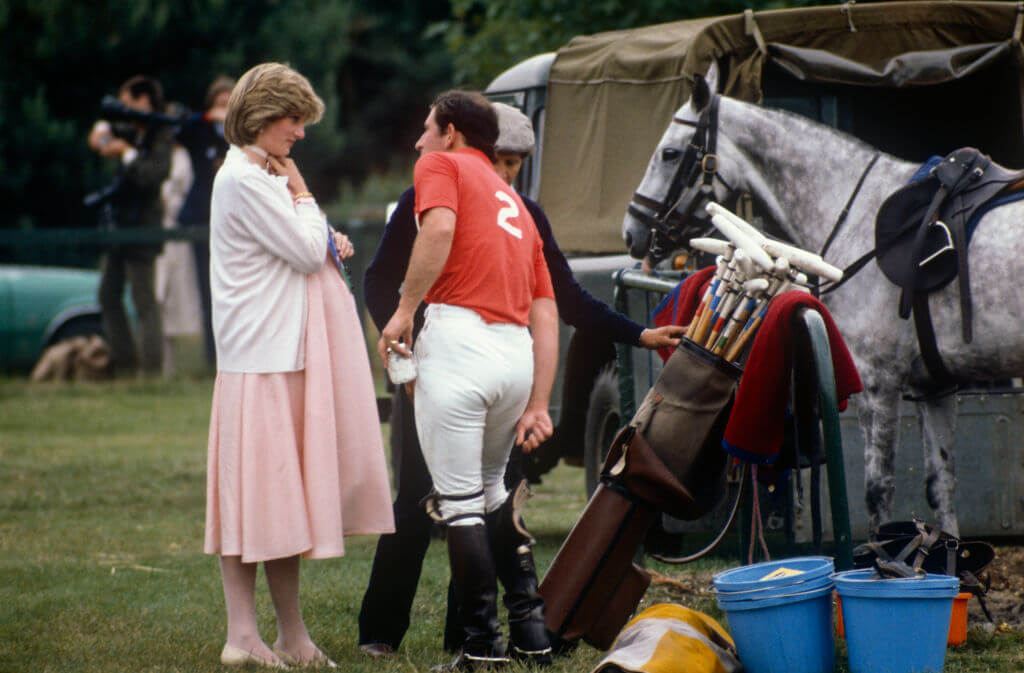 Princess Diana Archive - David Levenson
