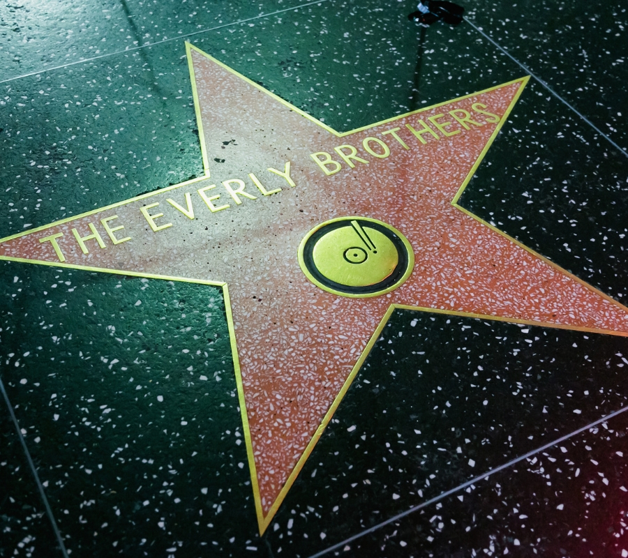 the everly brothers