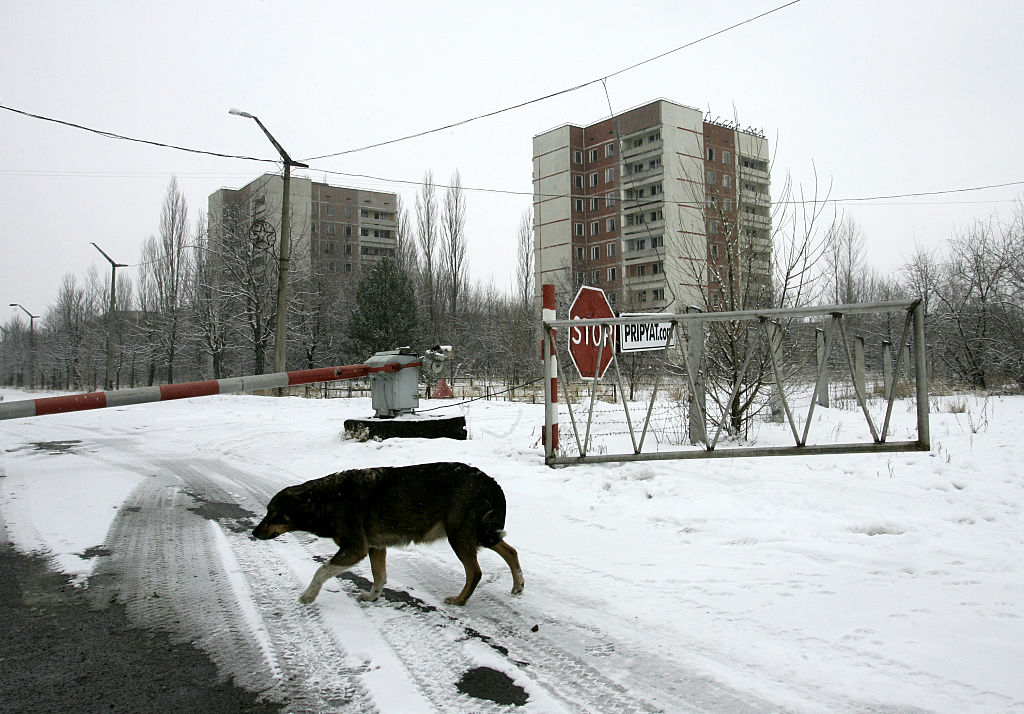 chernobyl 4