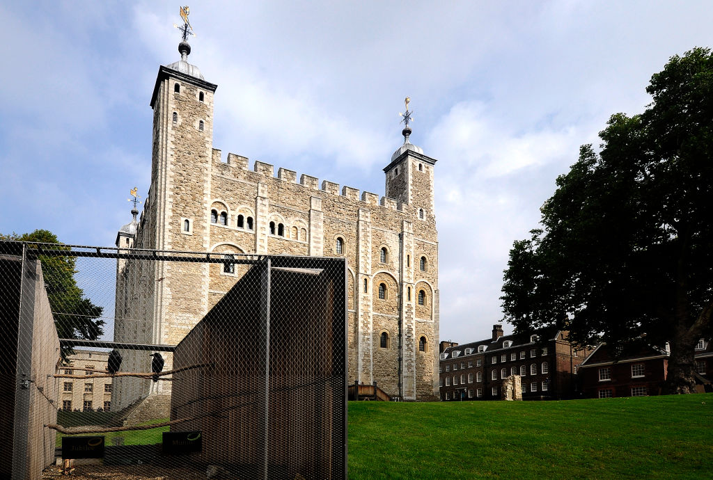 Tower Of London Ravens