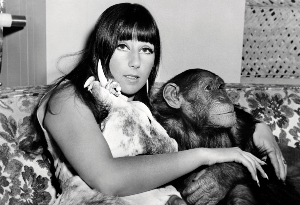 cher 12