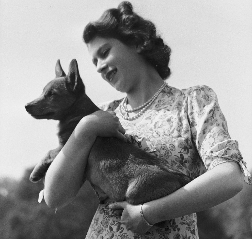 vintage elizabeth 3