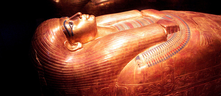 tut 1