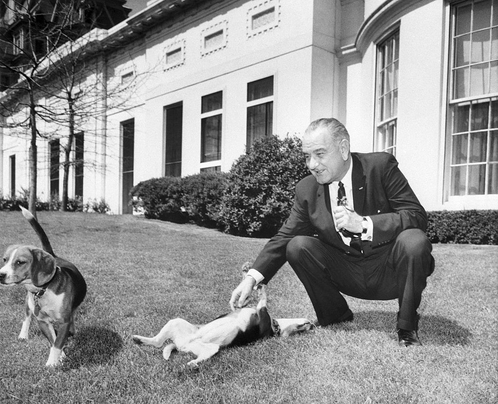 lyndon