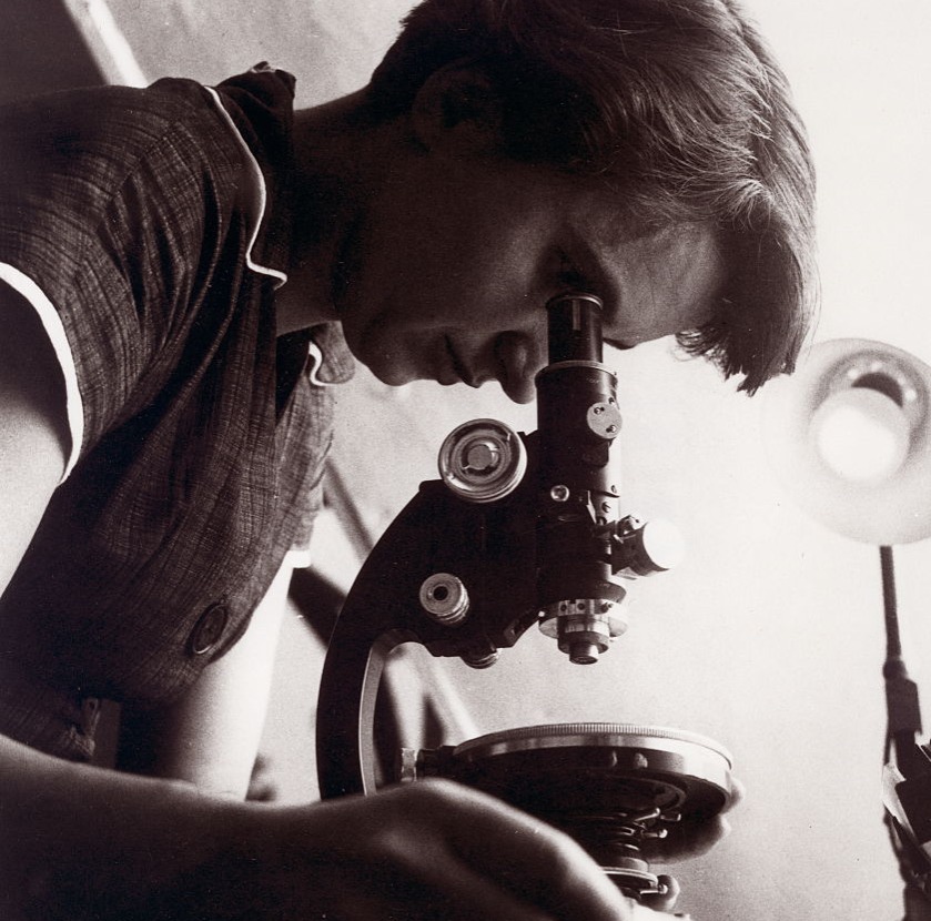 rosaline franklin