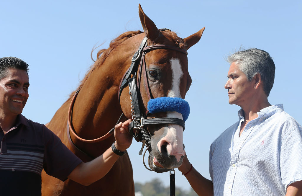 Justify Horse Training