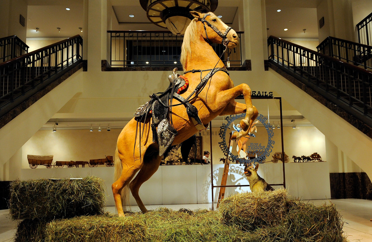 trigger horse on display at the roy rogers museum