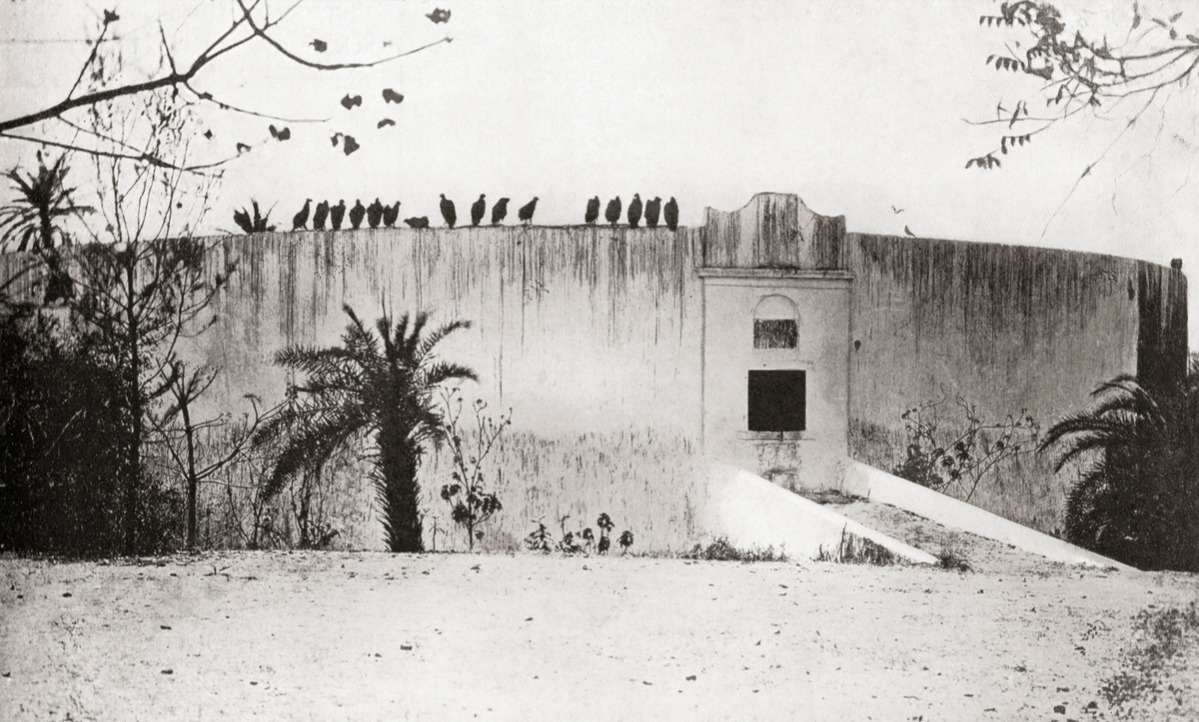 A Parsee or Parsi tower of silence aka Dakhma, Bombay, India. Zoroastrians for excarnation - that is, for dead bodies to be exposed to carrion birds, usually vultures