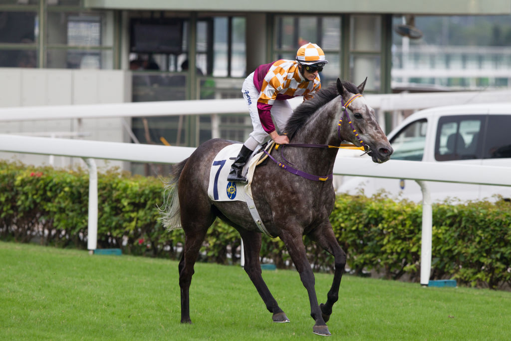 jockey on horse
