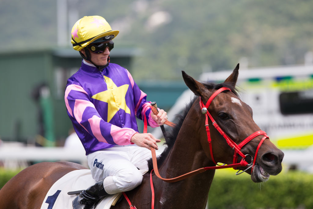 jockey wearing purple silk