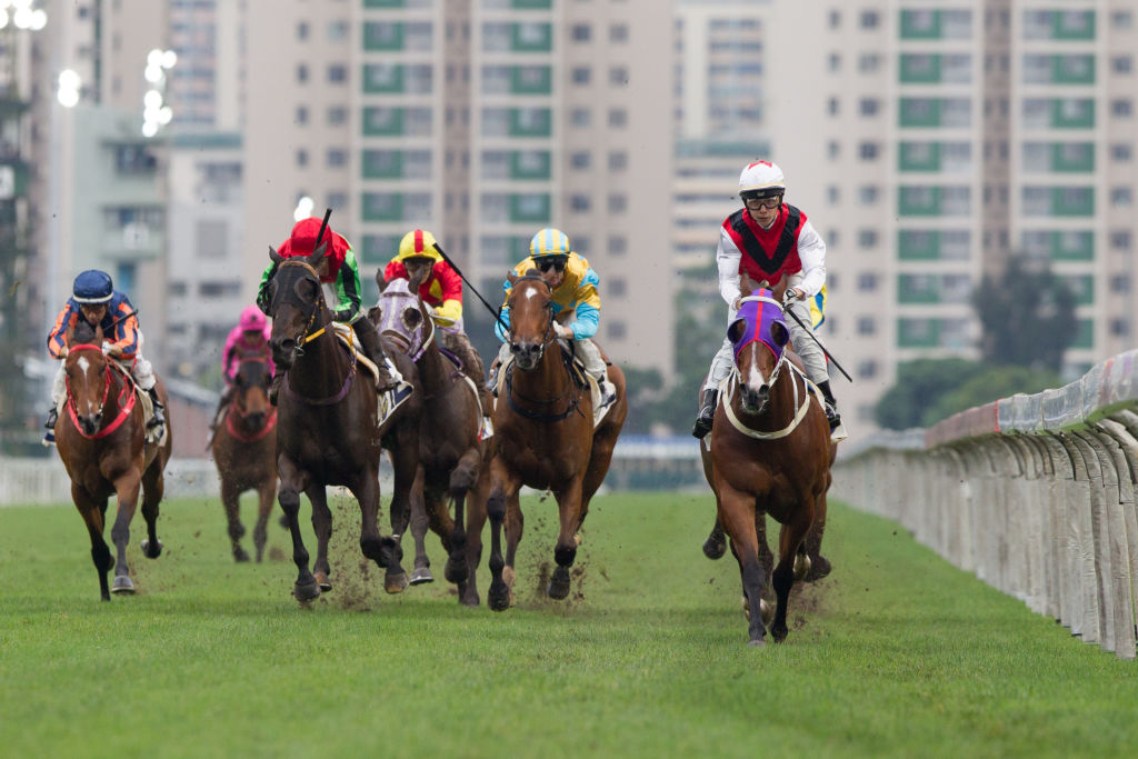 several horses racing against each other