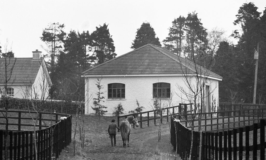 Shergar being led to a barn