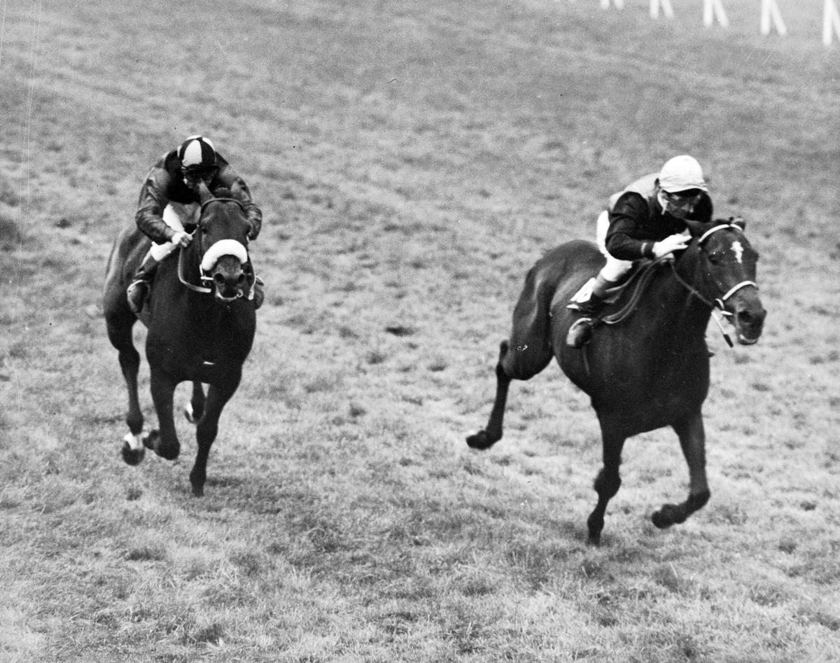 Sea Cottage racing in a black and white photo