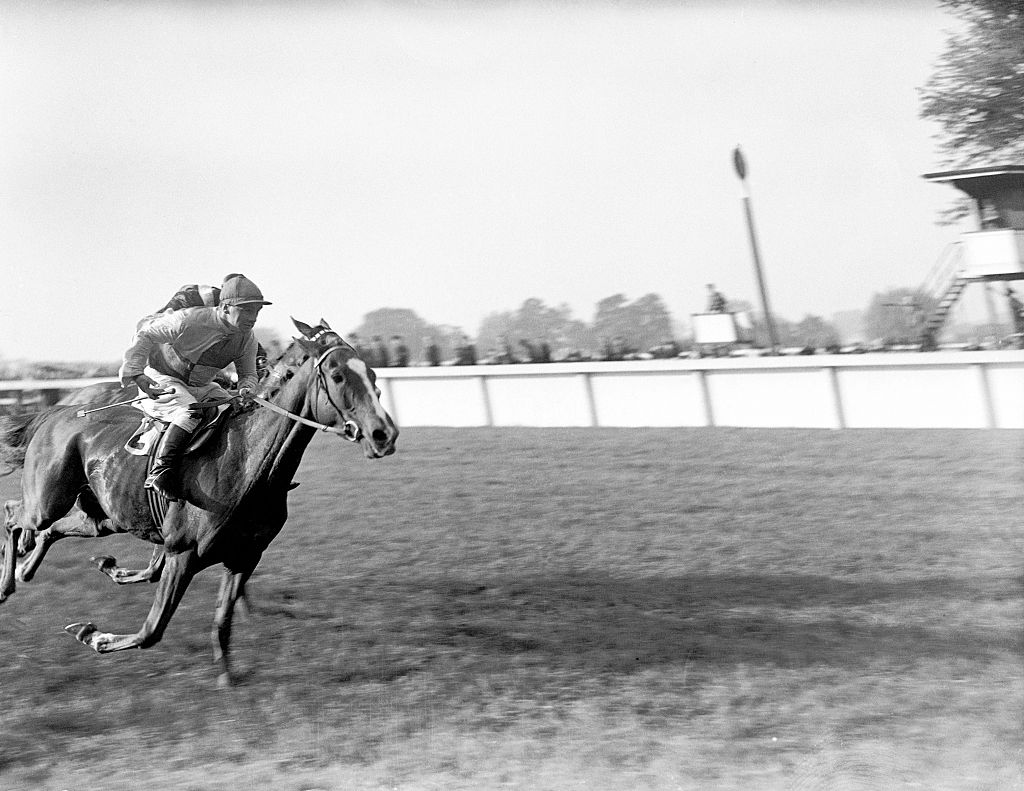 black and white photo of a horse running