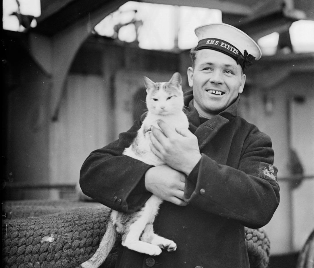 pincher the war cat in 1940 just before meeting winston churchill