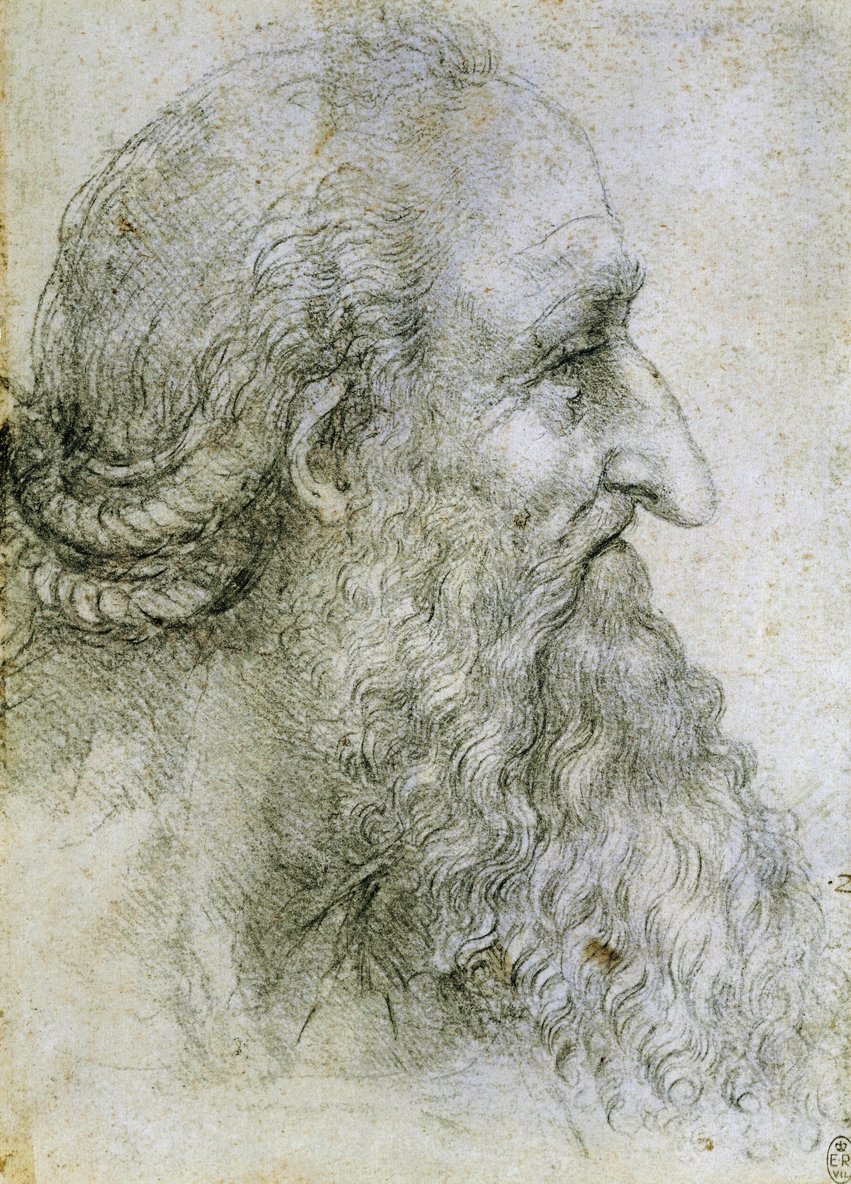Head of an elderly man seen in profile, by Leonardo da Vinci (1452-1519)