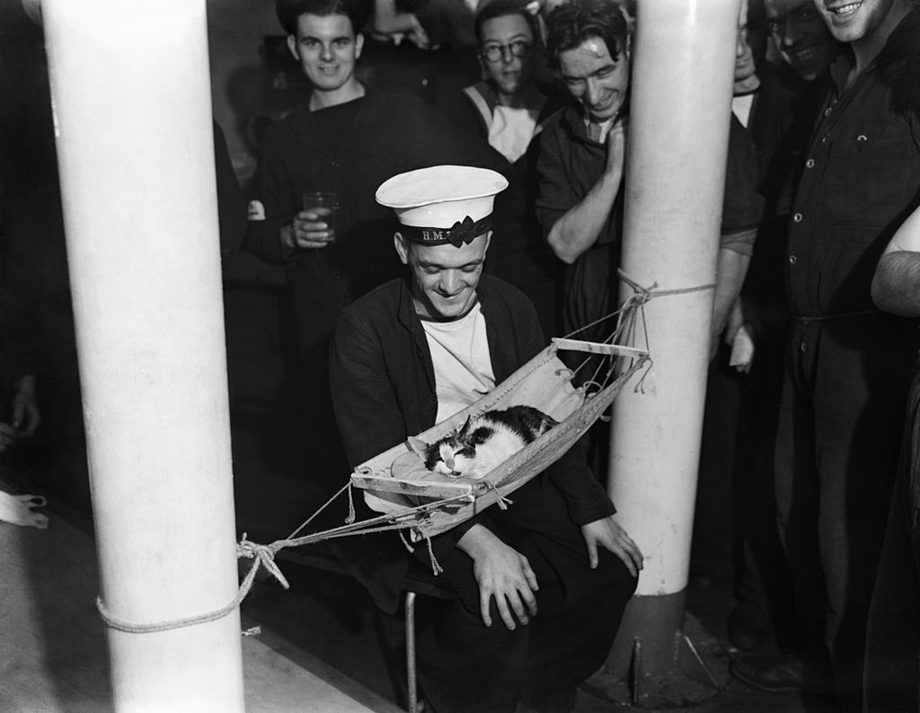 convoy the cat about the HMS Hermione in 2941