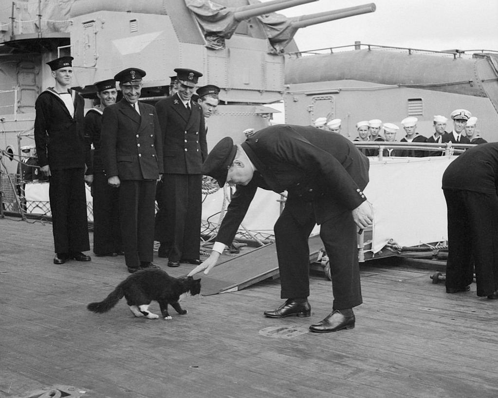blackie the cat meets Winston Churchill in 1941