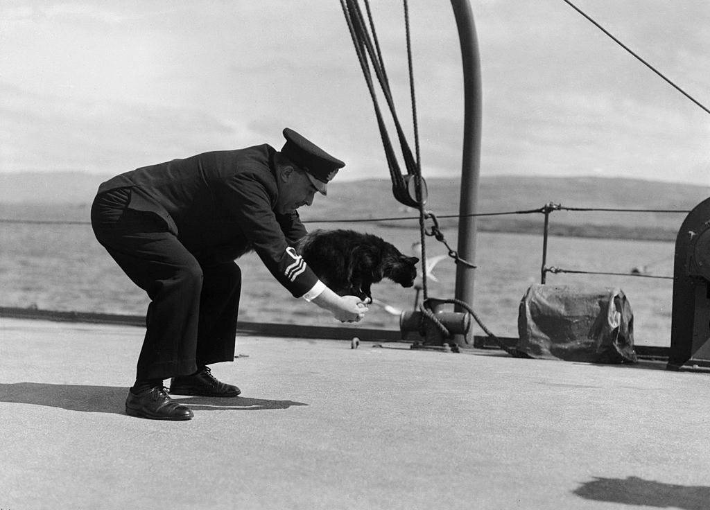 pebbles with his best soldier friend playing together o the HMS Western Isles