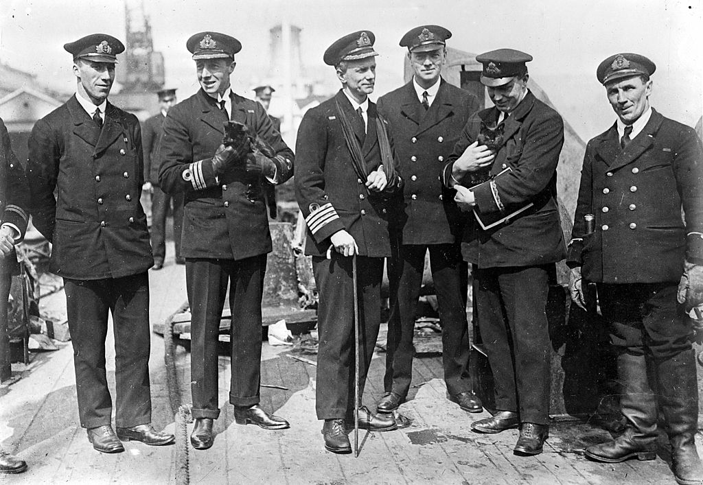 hms vindictive cats during world war i