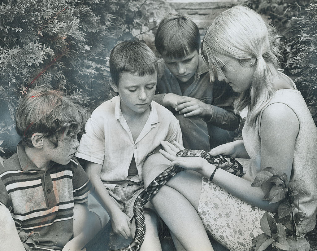 camper learn about snakes from a counselor