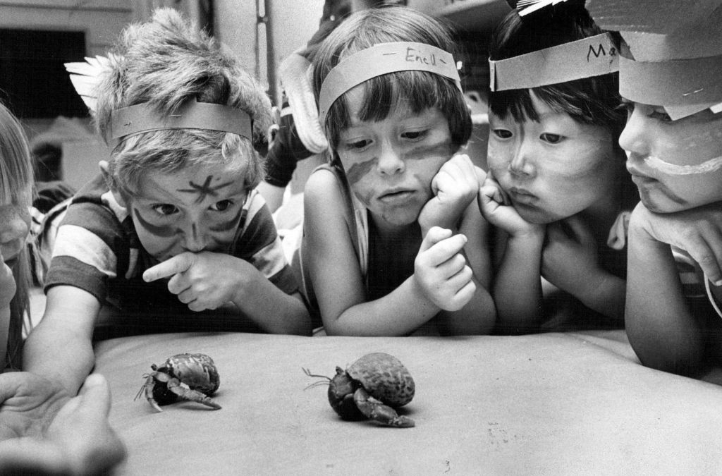 kids participate in crab racing