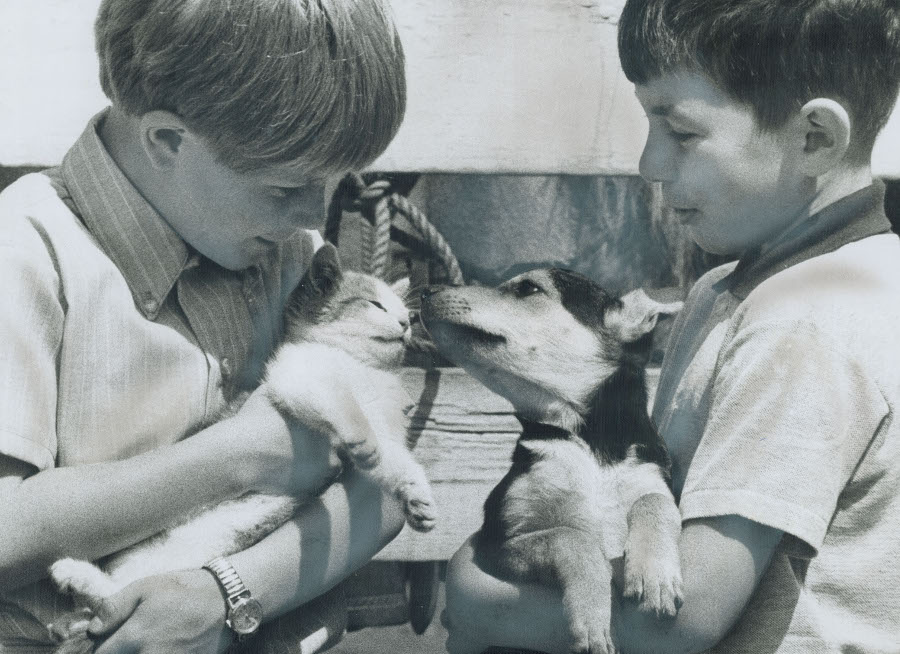 two boys with a puppy and a kitten 