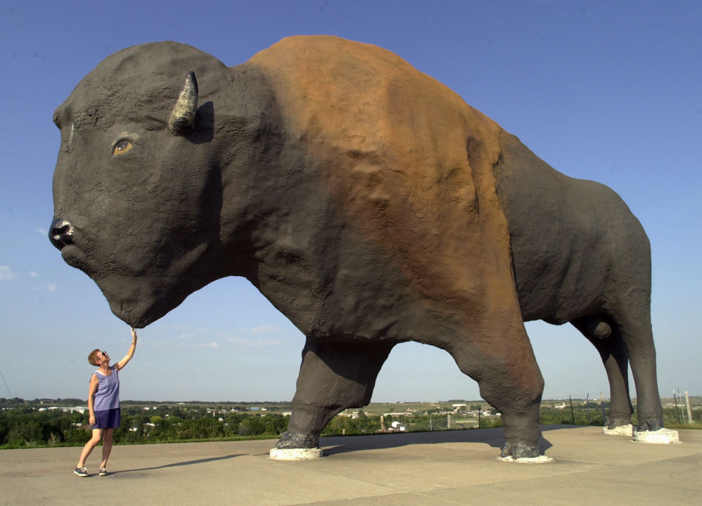 world's largest buffalo