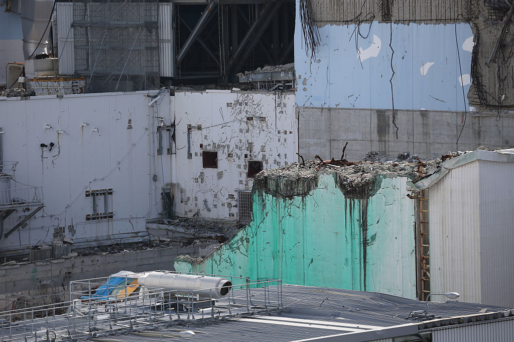 Destroyed wall of plant