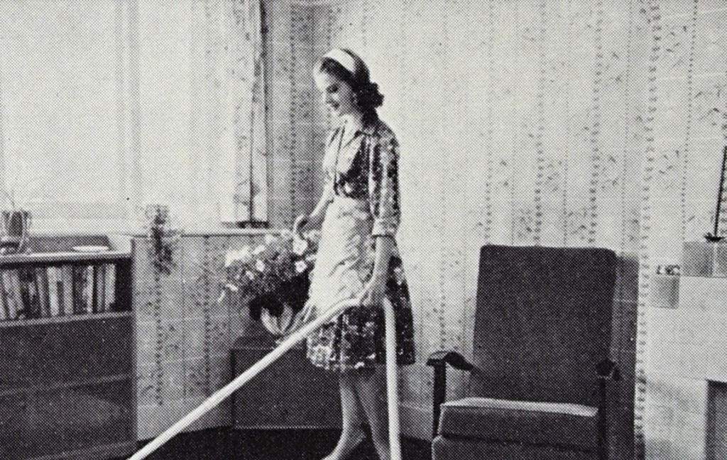 Housewife doing chores