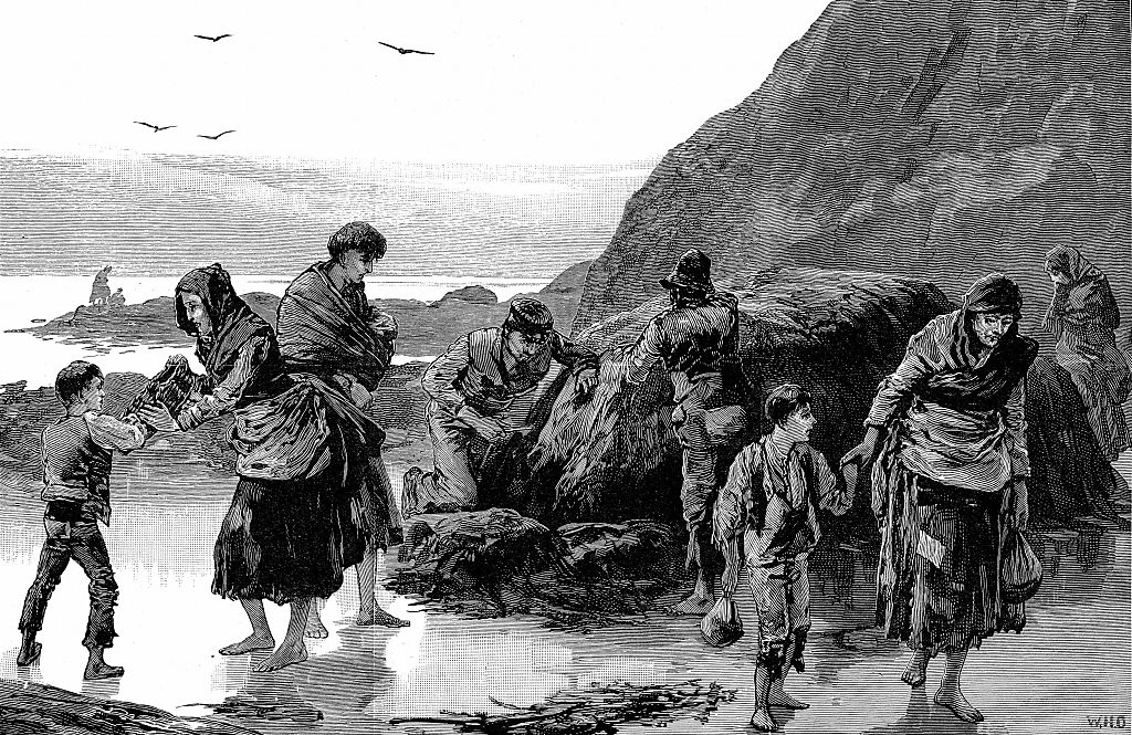 Image of starving people collecting seaweed