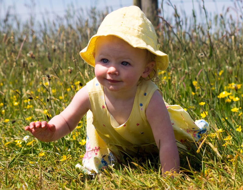 A baby girl crawls in a feild of flowers.