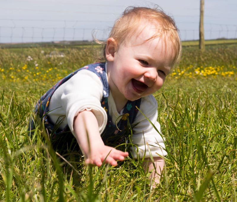 A baby crawls in a field of tall grass.