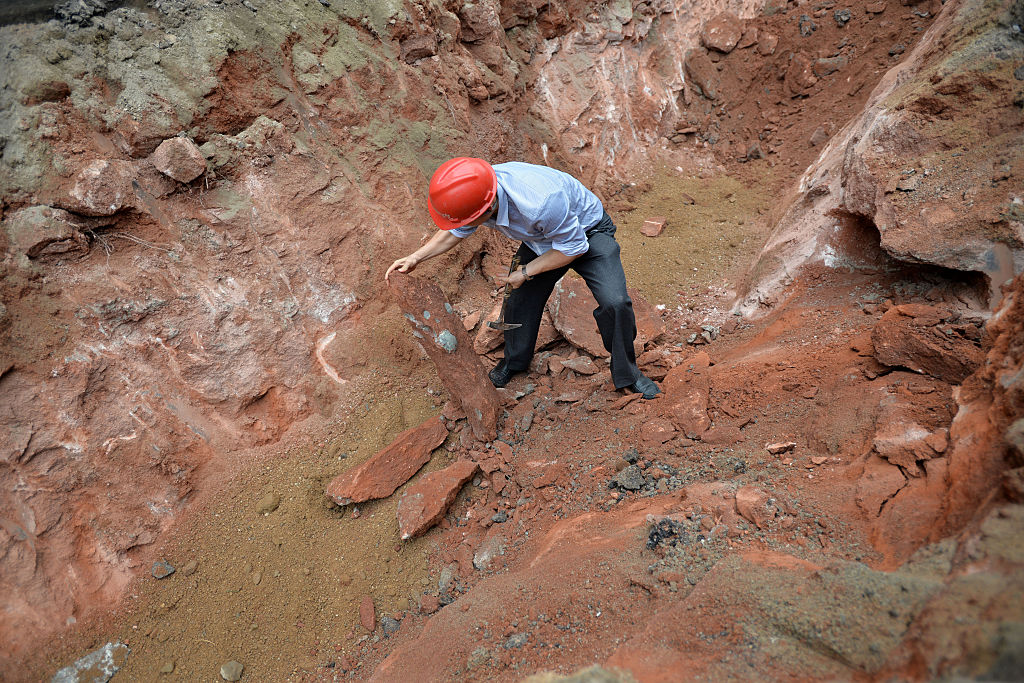 Man excavating dinosaur eggs