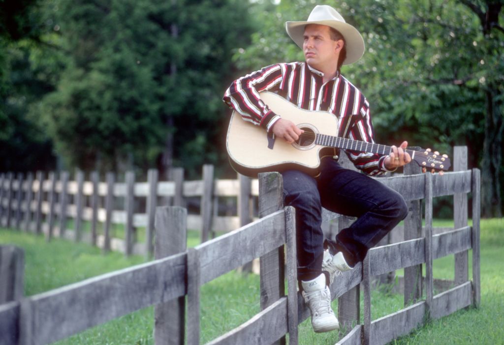 Brooks sitting on a fence 