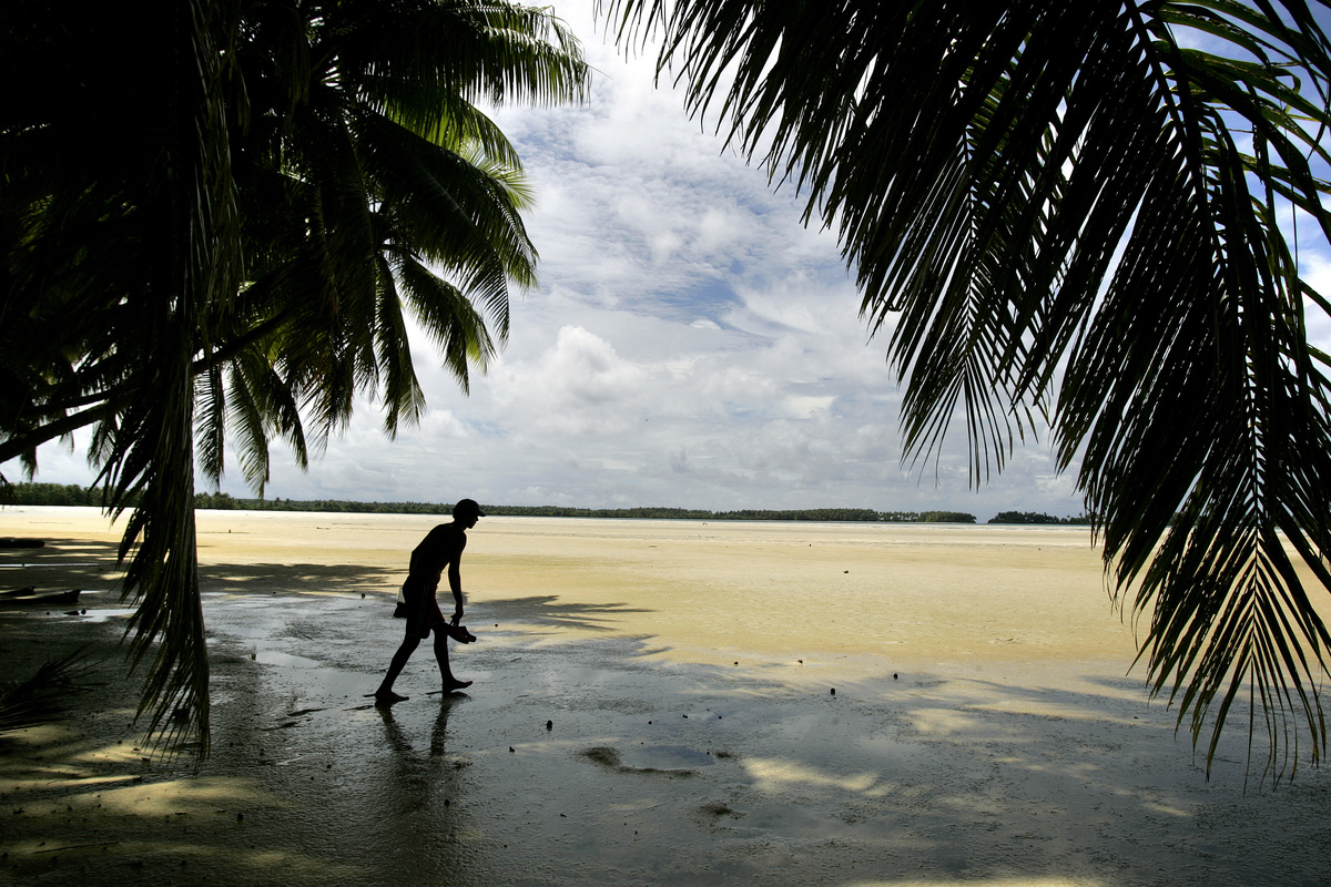 A person walks through the empty landscape of Palmyra Atoll, located in a remote area of the Pacific Ocean.