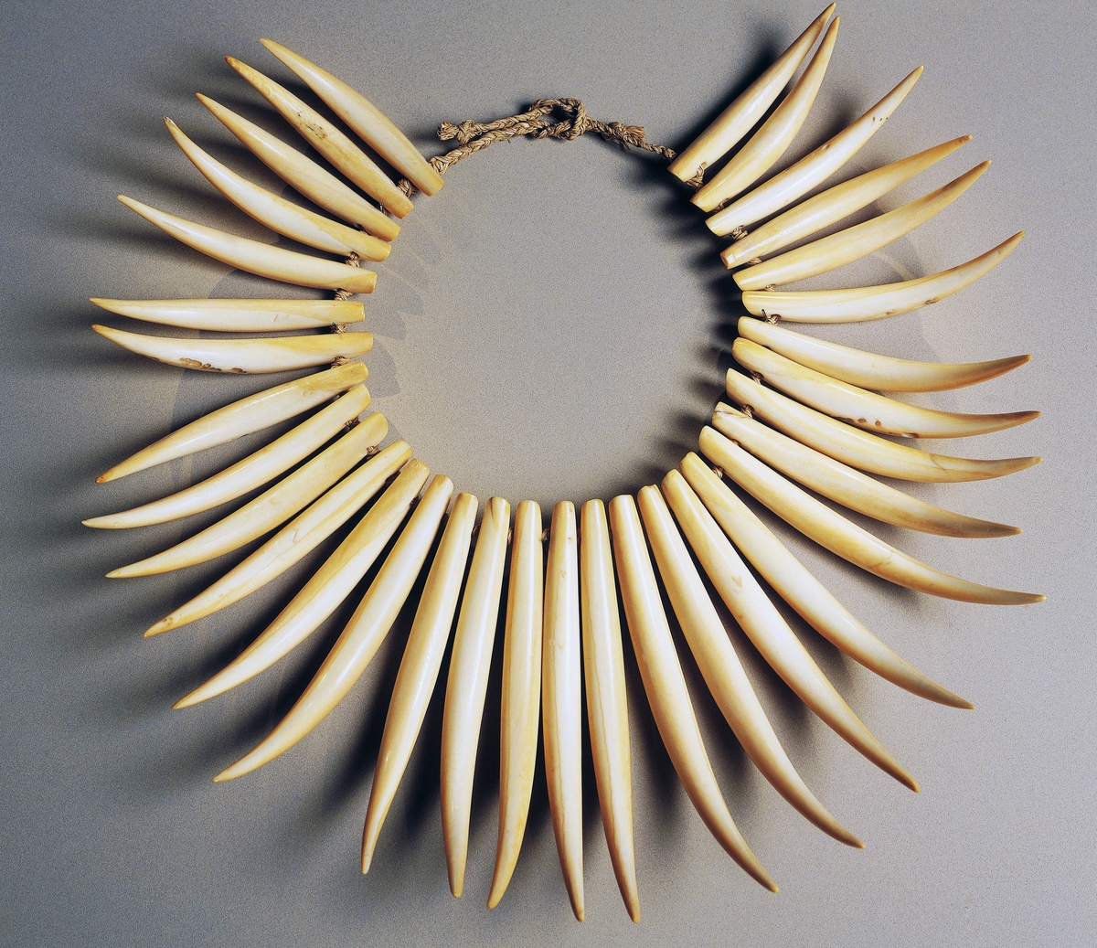 whale teeth necklace