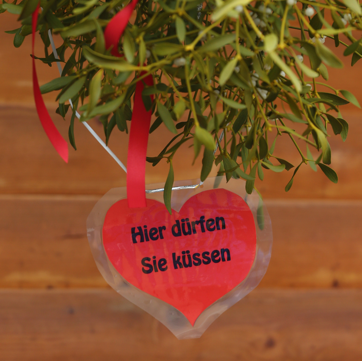 tree with heart dangling from it