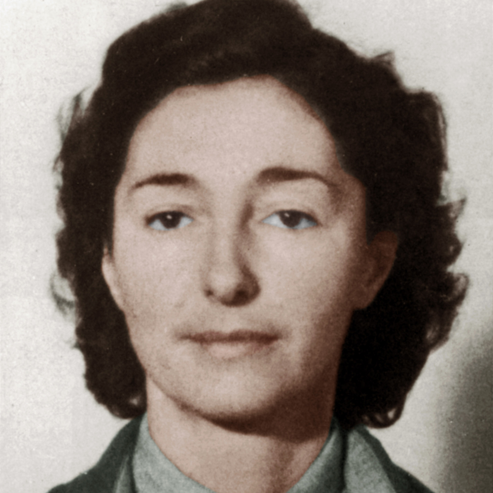 polish spy
