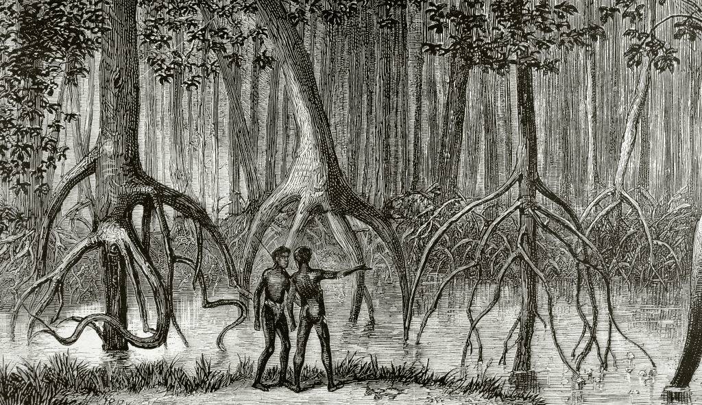 Natives in wetlands
