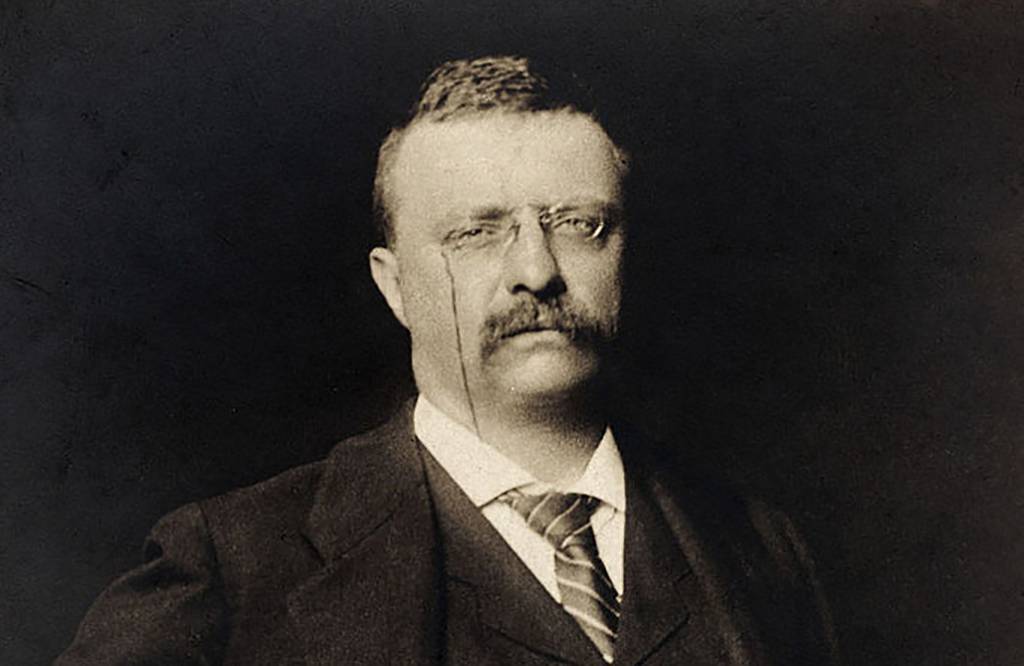 Portrait of Roosevelt 