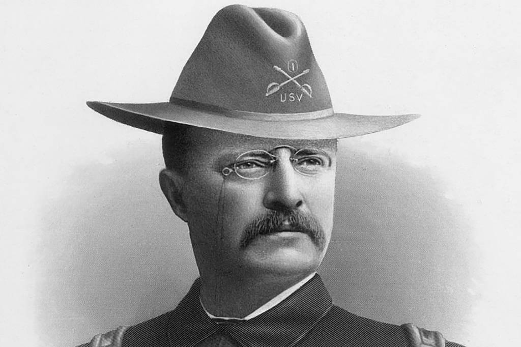 Roosevelt In A Hat 