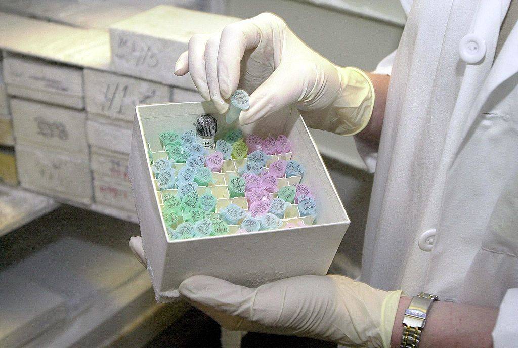 Worker with DNA samples 