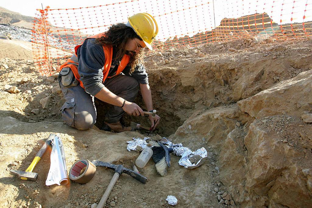 Archaeologist working 