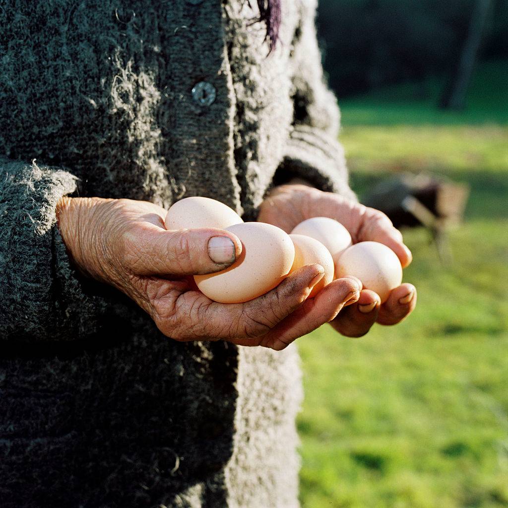 Person holding eggs 