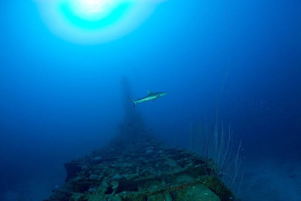 Sunken boat 