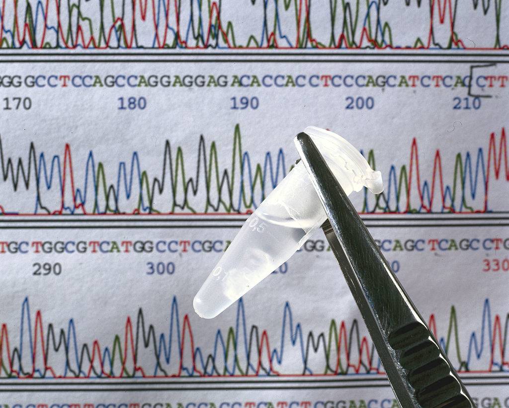 DNA sequence 