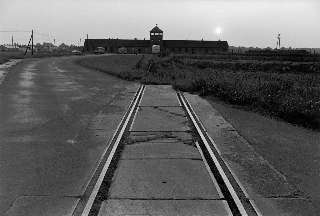 Tracks into the camp