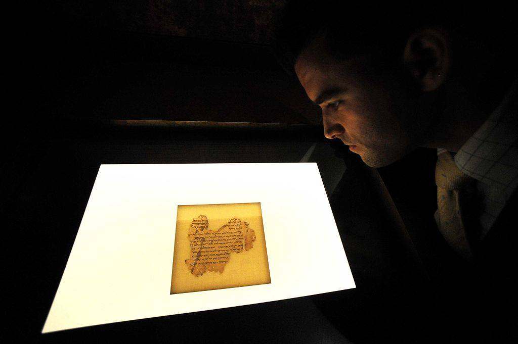 Man looking at a display 